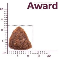 Award Adult All Breed для всех пород с ягненком, индейкой с добавлением яблока и черники 12 кг Image #4