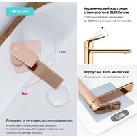 Wellsee ICON! for life 182304000 (розовое золото) Image #4