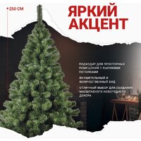 Бифорес Арктика АР 250 Image #7