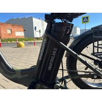 Электровелосипед Smart Balance Tank Trike 2024 (камуфляж) - Превью изображения №4 — Интернет-Магазин TECNO.BY