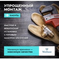 Смеситель Wellsee ICON! for life 182303000 (золотой) - Превью изображения №9 — Интернет-Магазин TECNO.BY