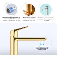 Смеситель Wellsee ICON! for life 182303000 (золотой) - Превью изображения №2 — Интернет-Магазин TECNO.BY