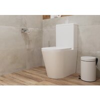 Унитаз напольный Lauter W76 P-TRAP 21122762 + гигиенический душ Mild 21LT072BM (горизонтальный выпуск) - Превью изображения №9 — Интернет-Магазин TECNO.BY