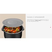 Redmond (Редмонд) MC101 Image #24