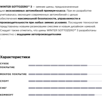 Зимние шины Pirelli Winter Sotto Zero Serie III 315/30R21 105V - Превью изображения №6 — Интернет-Магазин TECNO.BY