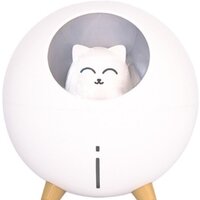 Sundays Home TBD0426282801A