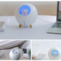 Sundays Home TBD0426282801A Image #2