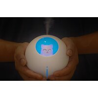 Sundays Home TBD0426282801A Image #7