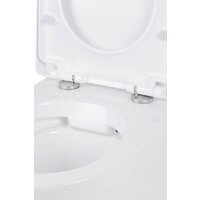 Унитаз подвесной Roxen Antares One Rimless 6 в 1 StounFix Dual Fresh 614314 (оружейная сталь/металл) - Превью изображения №10 — Интернет-Магазин TECNO.BY