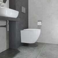 Lauter Vortex 2110830VP + Breez 21GN7071CH Image #19