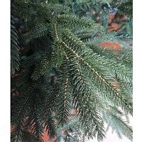 Maxy Poland Императорская литая (2.1м) Image #2