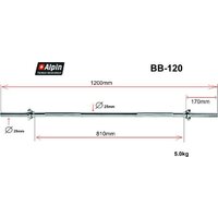 Alpin BB-120 Image #4