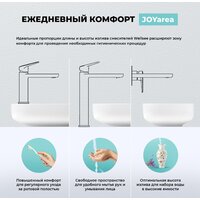 Wellsee ICON! for life 182301000 (хром) Image #5