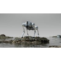 Unitree Go2 Pro Image #28