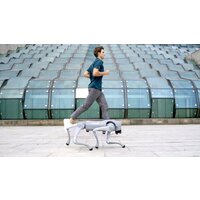 Unitree Go2 Pro Image #19