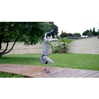 Unitree Go2 Pro Image #18