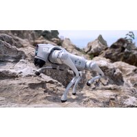 Unitree Go2 Pro Image #23