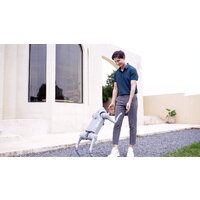 Unitree Go2 Pro Image #14