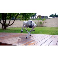 Unitree Go2 Pro Image #16