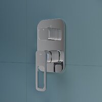 IDDIS Slide SLISB00i68 Image #2