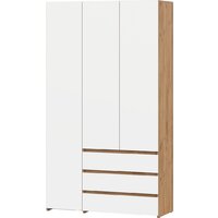 Mio Tesoro Некст 1 3-х створчатый (дуб золотой/белый)