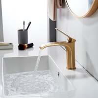 Shevanik S4101G Image #2