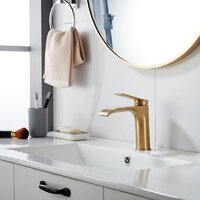 Shevanik S4101G Image #10