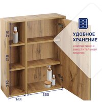 Doratiz Шкаф с зеркалом Doratiz Лофт 60 2712.114 (ватан) Image #4