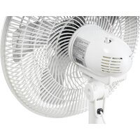 Sundays Home W-FS16628BP Image #5