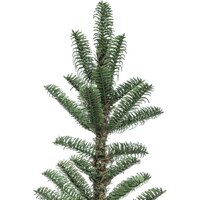 Winter Time 215 MKB07-941T Image #12