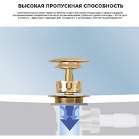 Wellsee Useful Extras 231915000 (белый/золото) Image #6