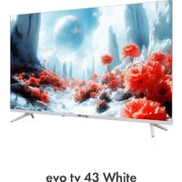 Evo TV 43 White TD0051750RU Image #8