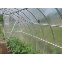 GreenLine V Image #2