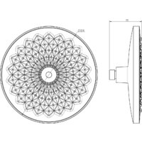 Lauter Iris 21S20080 Image #3