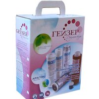 Гейзер №8 для Гейзер БИО 331 и 332