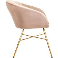 AksHome Amur (светло-коричневый велюр/золото) Image #3