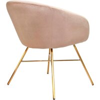 AksHome Amur (светло-коричневый велюр/золото) Image #4