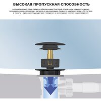 Wellsee Useful Extras 231914000 (белый/матовый черный) Image #6