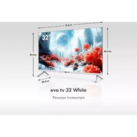 Evo TV 32 White TD0051749RU Image #5