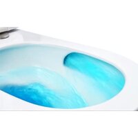 Roxen Vortex Tornado в комплекте с инсталляцией StounFix Dual Fresh 6 в 1 868502 (кнопка: черный матовая) Image #11