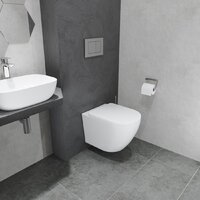 Lauter Vortex 2110830 с кнопкой 219702HD (узкая, белый) Image #20