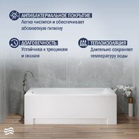 Lauter Amelia 150 21204050 (с ножками, серым подголовником и белым лиц.экраном) Image #5