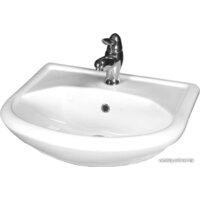 Rosa Уют 550 55.6x44