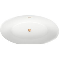 Wellsee L’univers 177,5x91 236401004 (отдельностоящая ванна белый глянец, экран, ножки, сифон-автомат золото) Image #2