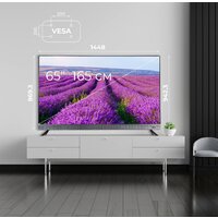 Evolution WOS65MR1SBUHD Image #6