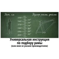 Велосипед Arena Street 28 р.17 2026 (синий, разобранный) - Превью изображения №2 — Интернет-Магазин TECNO.BY