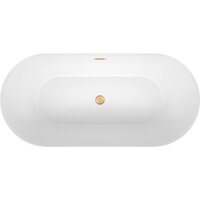 Wellsee Air Gap R 166x77 23860104R (отдельностоящая ванна белый глянец, экран, ножки, сифон-автомат золото) Image #4