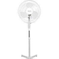 Blackton Bt F1115