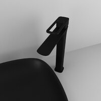 IDDIS Slide SLIBL01i01 Image #4