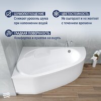 Lauter Valencia 150x100 2102150L (с каркасом и сифоном 21Y11021 матовый черный) Image #4